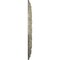 Ekena Millwork Dublin Medallion (Canopies up to 5 1/8"), 17 7/8"OD x 3 5/8"ID x 1 1/4"P, Castle Stone Crackle CM17DUCSC - alternate 4
